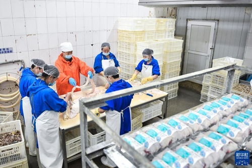 崔玉梅 从农家女到劳动模范的纺织服装与日用品销售之路